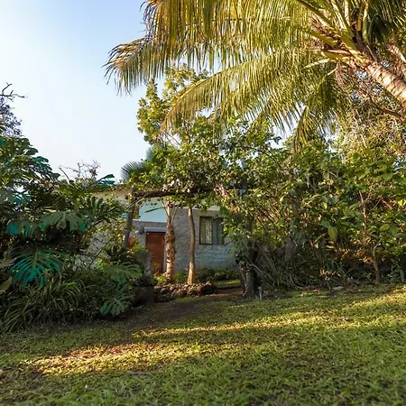Cabana Vaenga Miro Hanga Roa Exterior photo