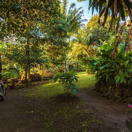 Cabana Vaenga Miro Hanga Roa Exterior photo