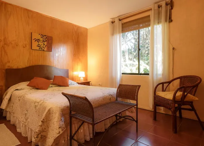 Cabana Vaenga Miro