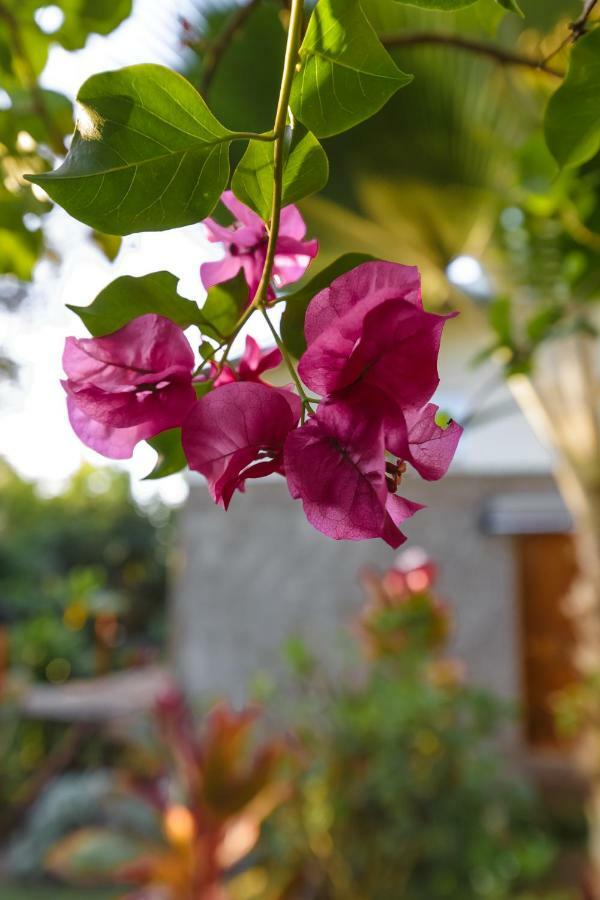 Holiday home Vaenga Miro Hanga Roa
